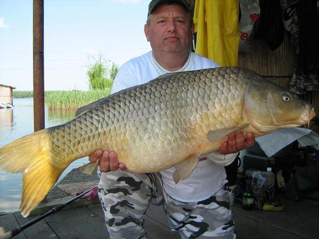 crapi tancabesti - img4156.jpg